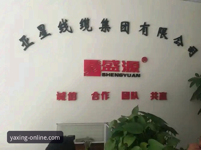 亚星官网最新地址 亚星官网最新地址怎么找?入口更新后如何快速登录?