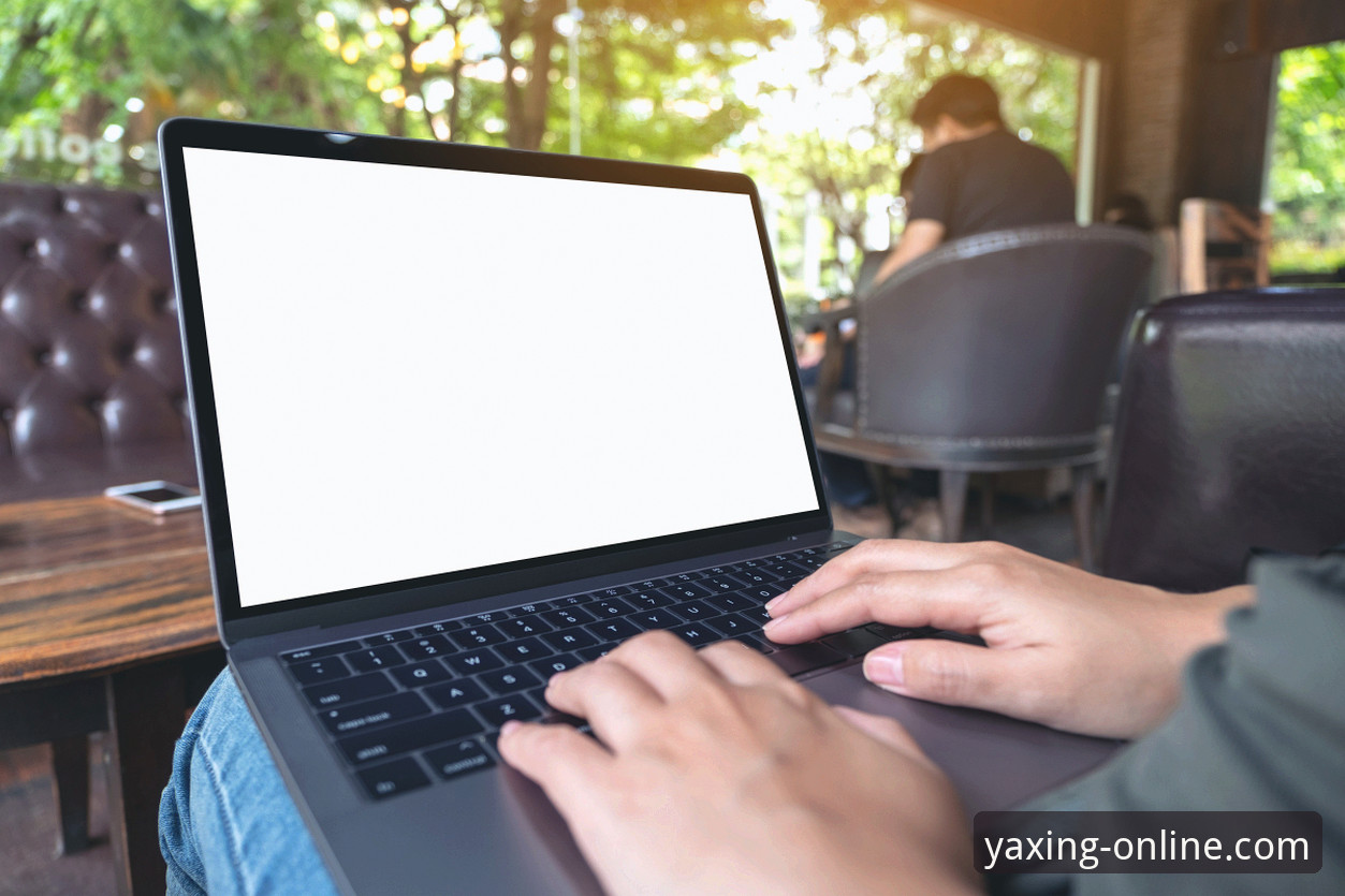 亚星官网下载 深度解析亚星官网下载:一位资深用户的使用心得与安全考量